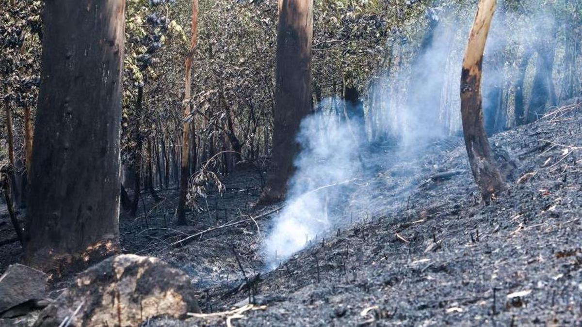 Tierra calcinada en el incendio de Padrón, estabilizado el pasado lunes