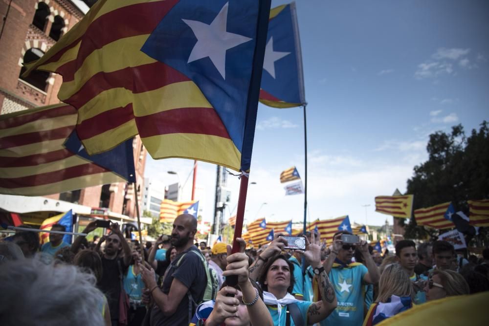 La Catalunya Central a la manifestació de la Diada