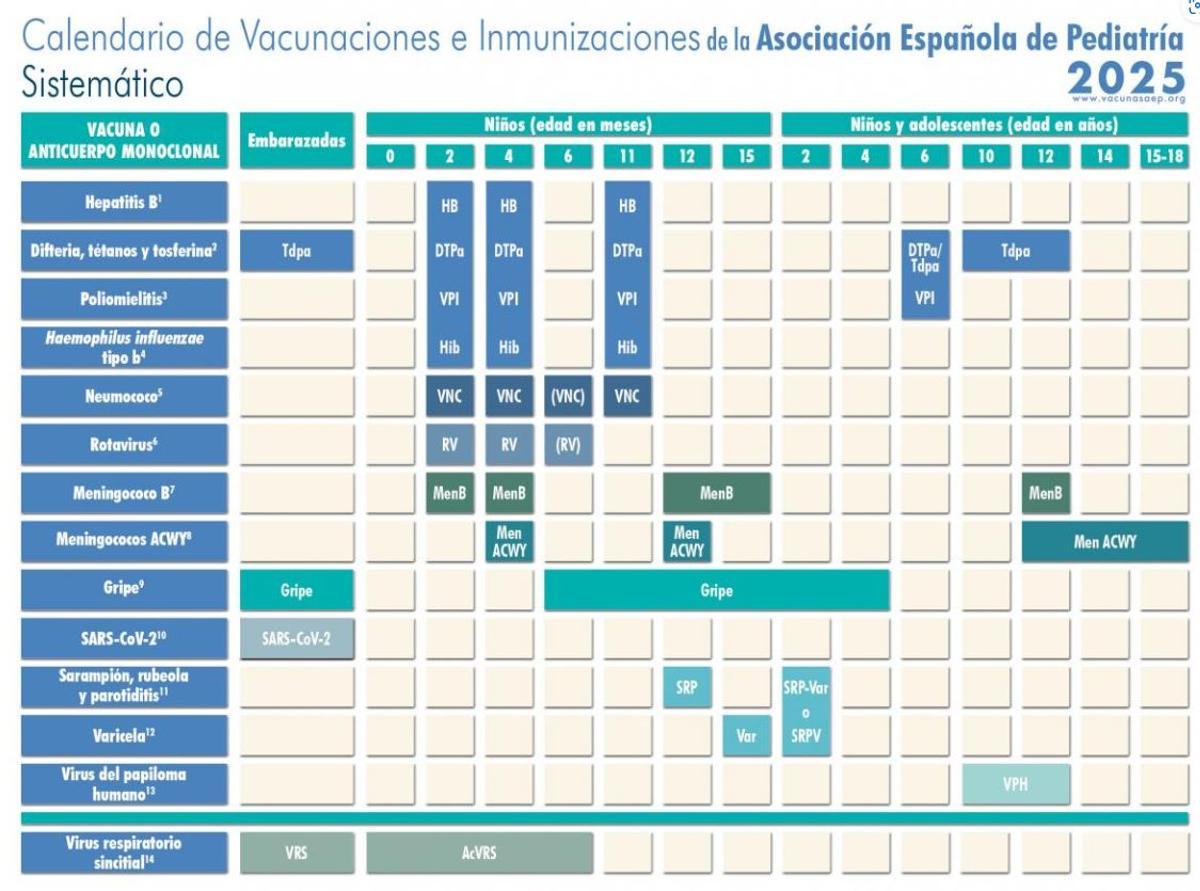 Nuevo calendario propuesto por la Asociación Española de Pediatría.