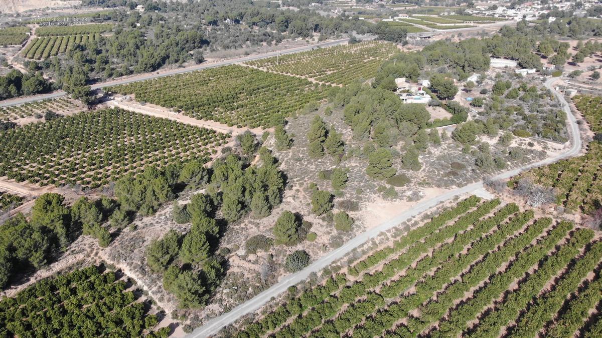 Campos de cultivo que se vigilarán en Nàquera por parte de la Policía Local para evitar robos y hurtos en las cosechas.