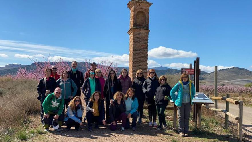 Los paseantes disfrutaron de los árboles en floración. | SERVICIO ESPECIAL