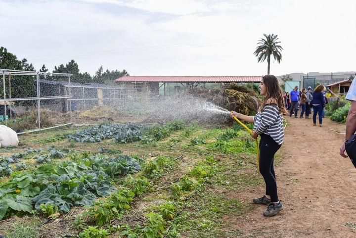 Visita escolar a la Granja Agricola del Cabildo