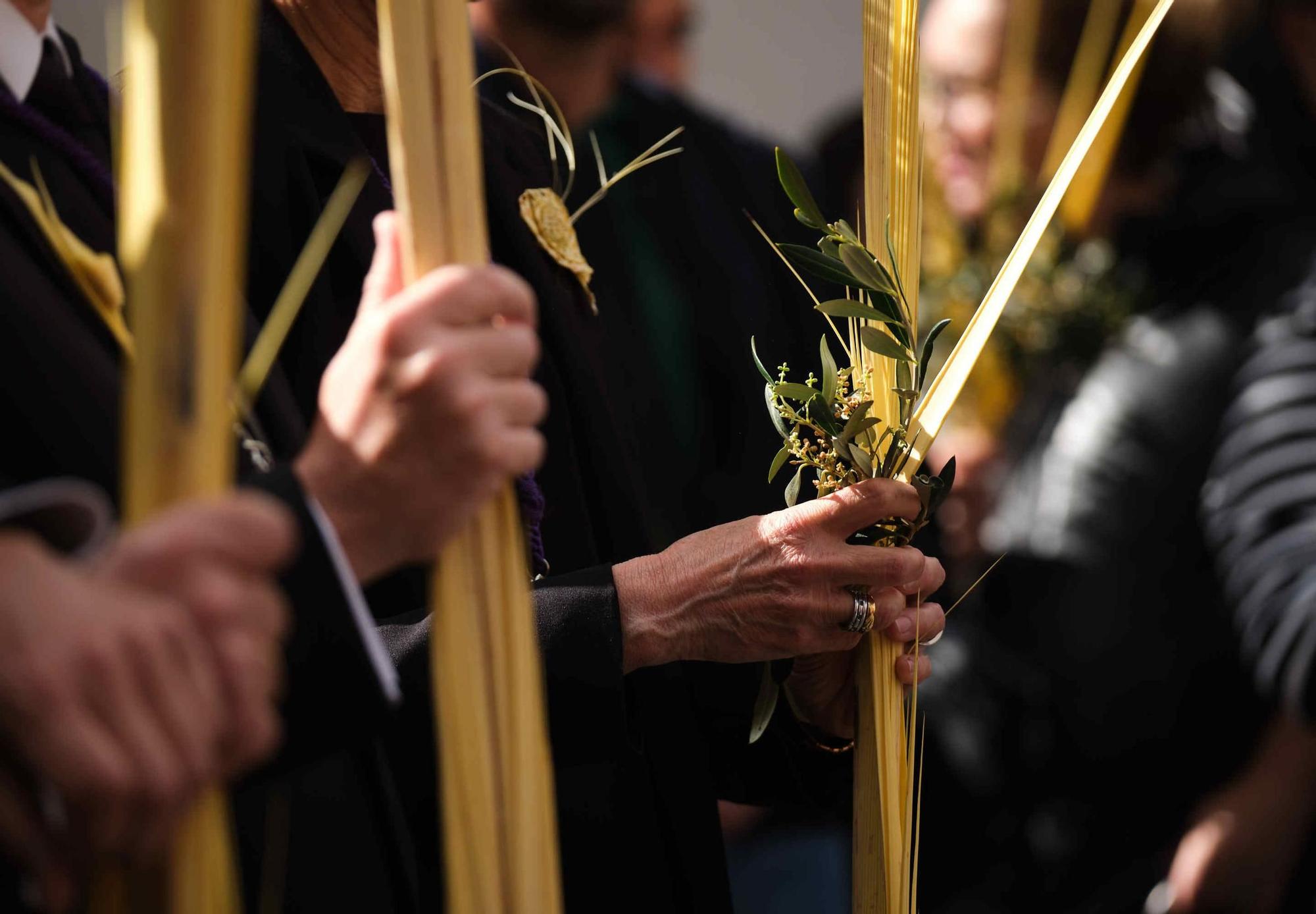 Procesión de la Entrada de Jesús en Jerusalén