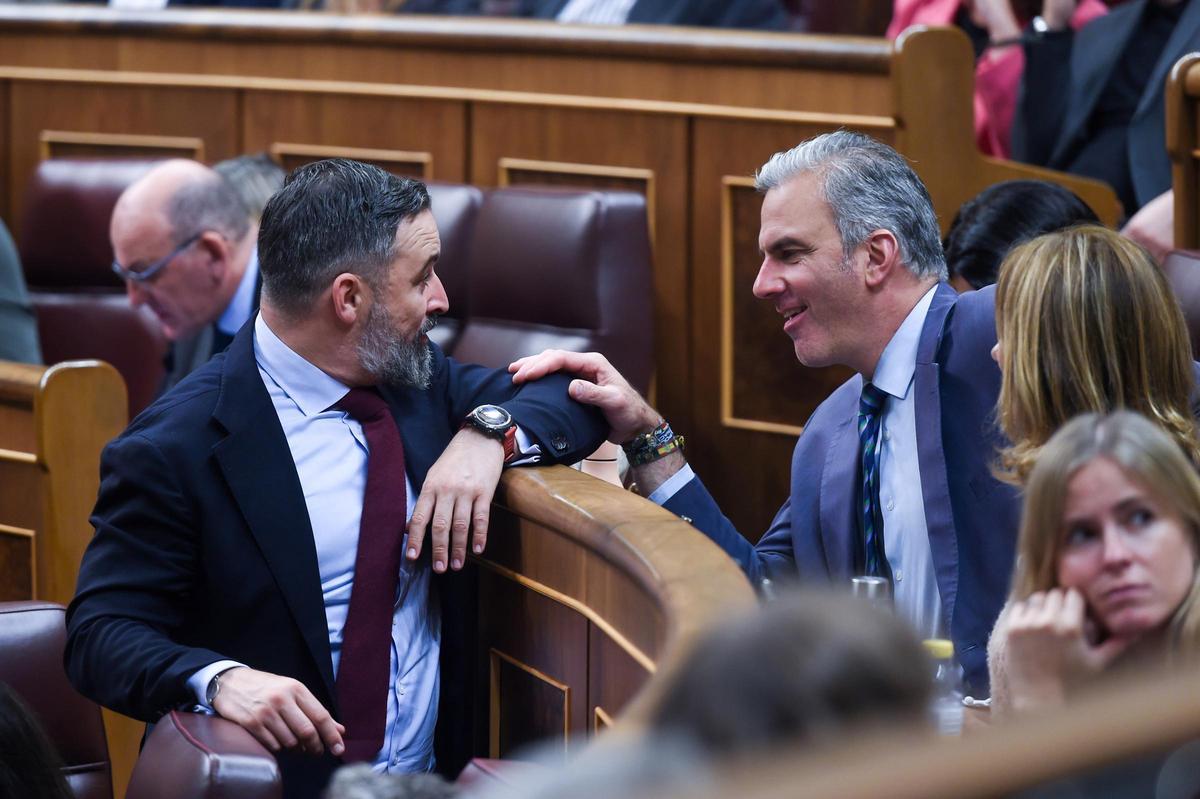 El líder de VOX, Santiago Abascal (i) y el portavoz del Grupo Municipal VOX, Javier Ortega Smith (d), conversan durante un pleno en el Congreso de los Diputados.