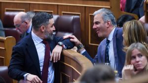 Archivo - El líder de VOX, Santiago Abascal (i) y el portavoz del Grupo Municipal VOX, Javier Ortega Smith (d), conversan durante un pleno en el Congreso de los Diputados, a 29 de octubre de 2024, en Madrid (España).