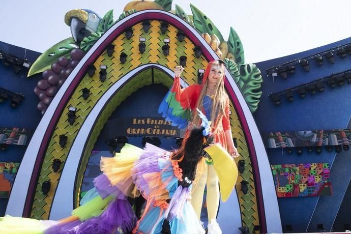 24.02.19. Las Palmas de Gran Canaria. Carnaval 2019. Concurso Carnaval Canino 2019. Felicia Svensson, presenta a Chiquitita Chanel, con la fantasía " Obrigado Río". Foto Quique Curbelo