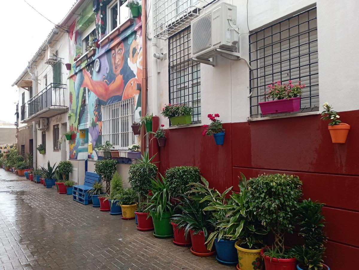 Vista del hostel y las plantas de calle Jara.