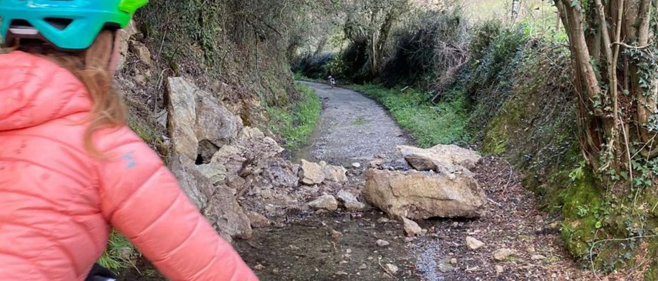 Rocas caídas en la Senda del Oso este invierno.