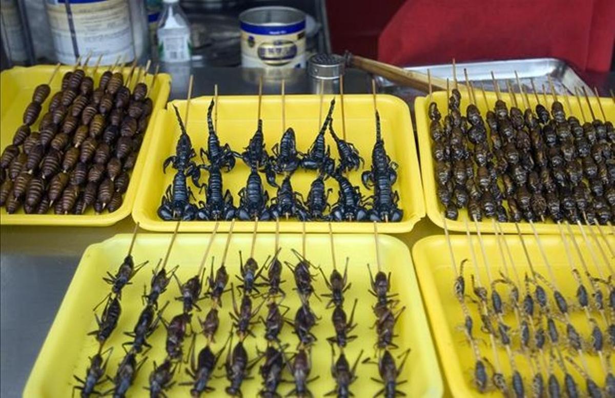 Brochetas de insectos en un mercado chino.