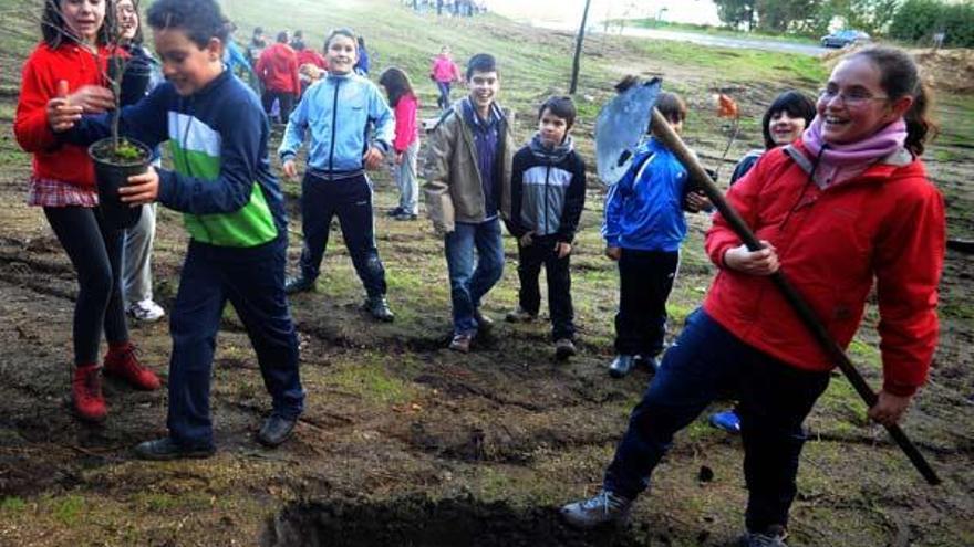 Alumnos de Valga, durante la plantación de especies autóctonas, ayer.  //  Iñaki Abella