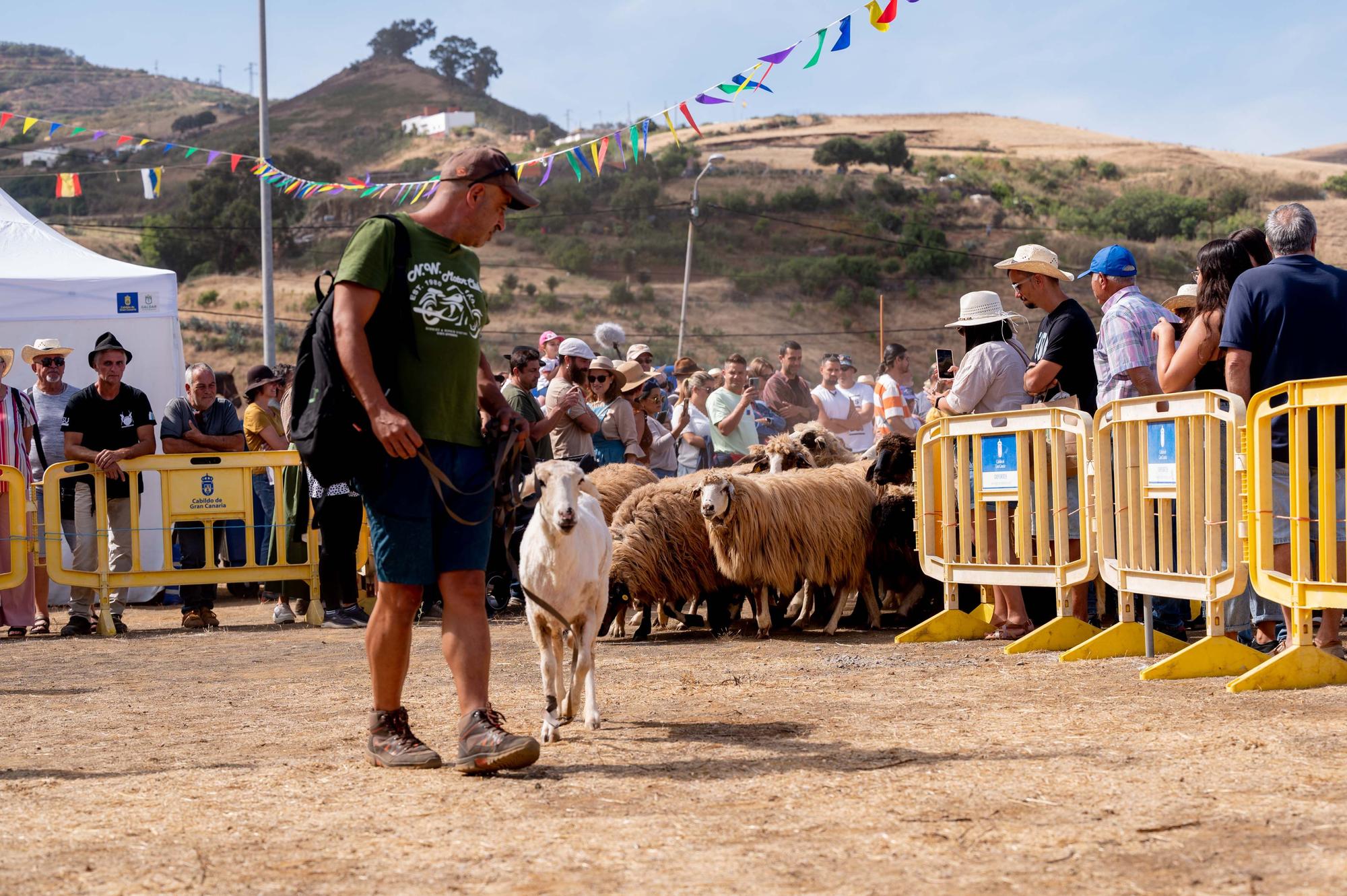 Fiesta de la Lana de Caideros