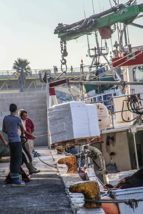 Jornadas Profesionales de Pesca Turismo en Torrevieja