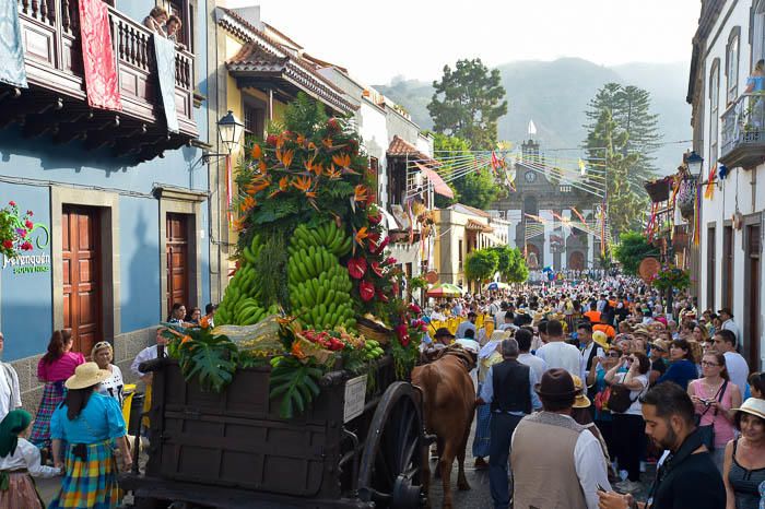 Carretas y grupos en la romería del Pino