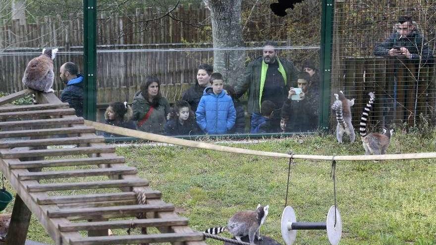 Vigozoo será uno de los más de 150 espacios de la ciudad que incorporarán los sensores. // FdV