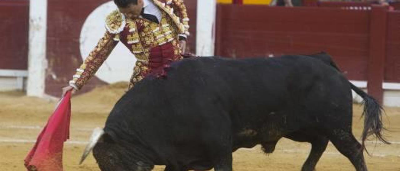 La dulce melodía Manzanares