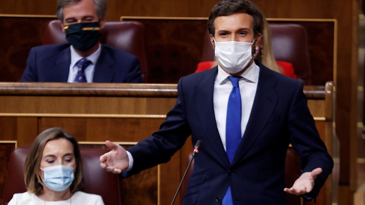 Pablo Casado, en el Congreso