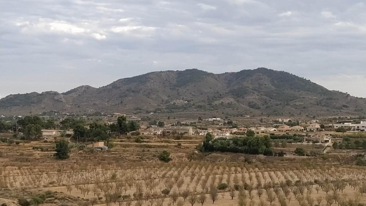 Los terrenos donde se proyecta la construcción de la planta solar Salinetas II entre Monóvar y Novelda.