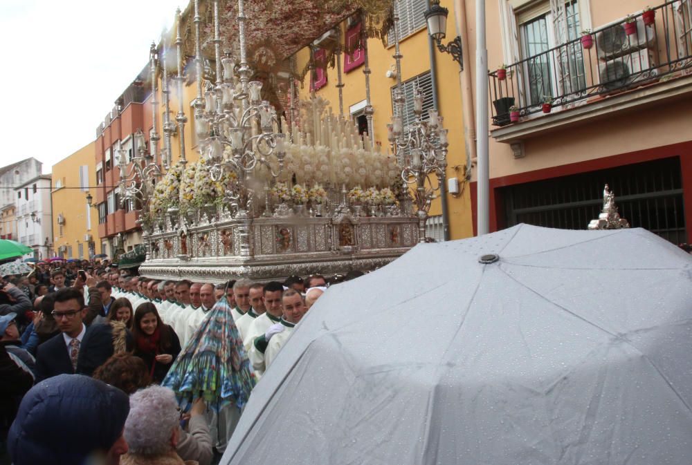 Domingo de Ramos | Pollinica