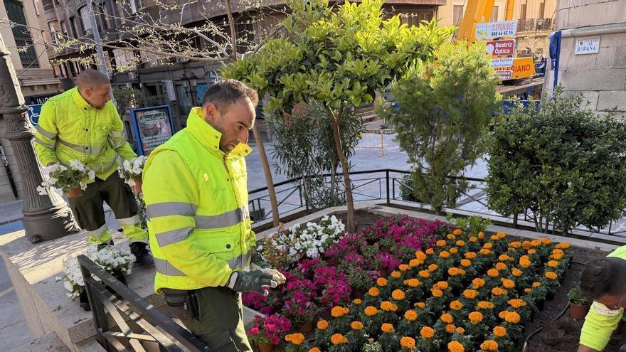 Actúa engalana con flores la plaza de España de Yecla