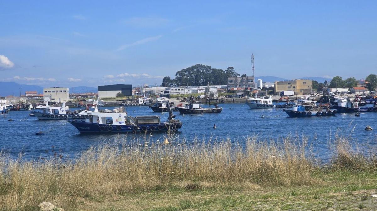 La ensenada de Porto Meloxo desde Punta Moreiras.
