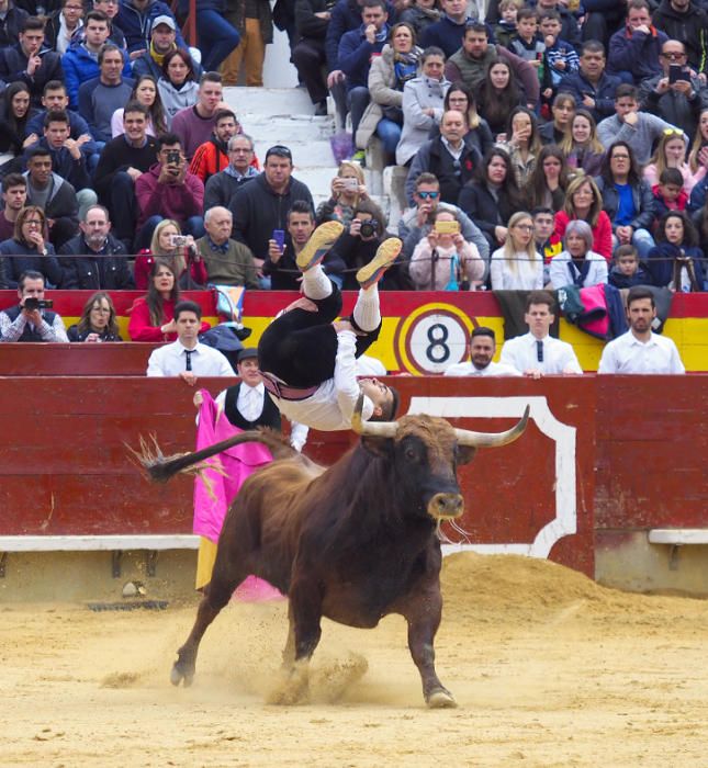 Concurso de recortadores "Recortador de Oro"