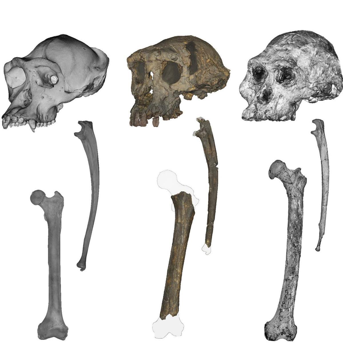 Caminant  abans de temps