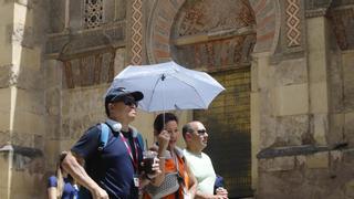 ¿Cuántas olas de calor ha sufrido tu provincia desde 1975? Jaén y Málaga encabezan el ránking andaluz