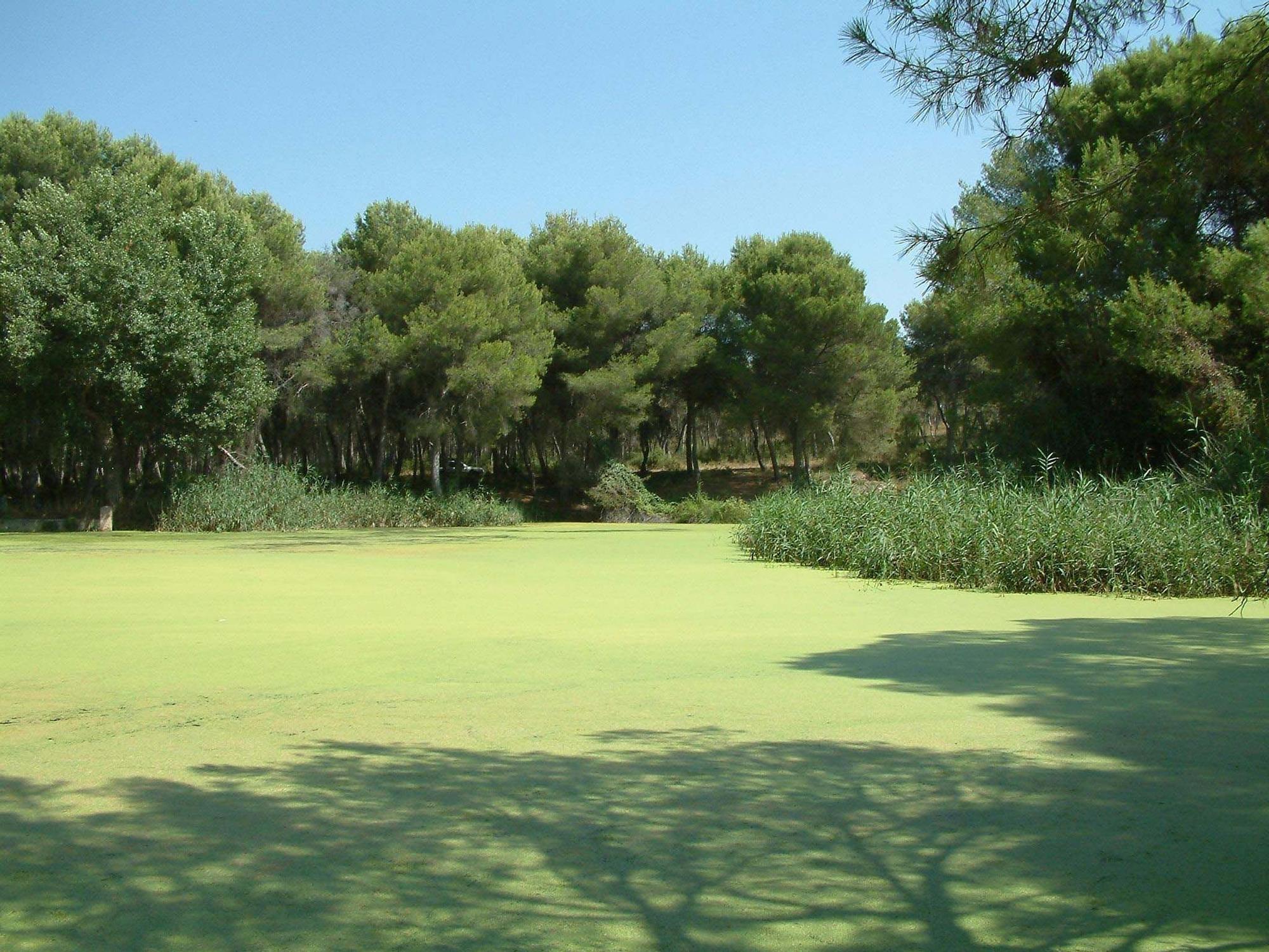 Un paseo por el Parc Natural del Túria