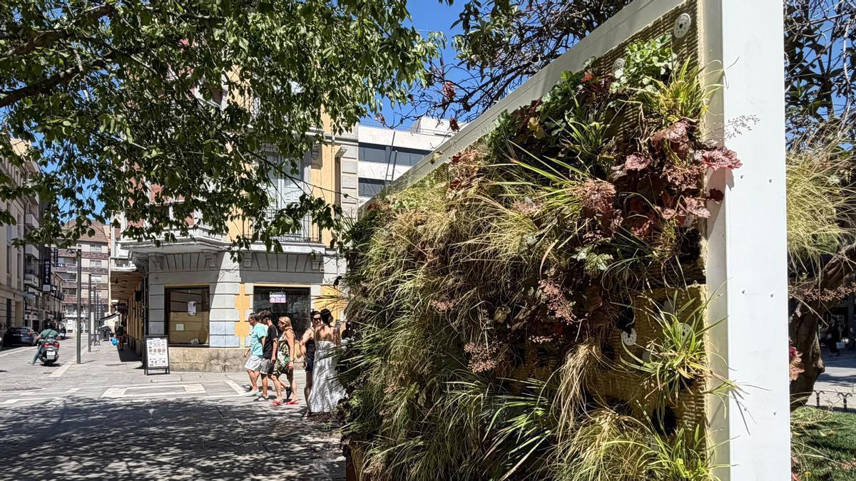 Uno de los jardines verticales.