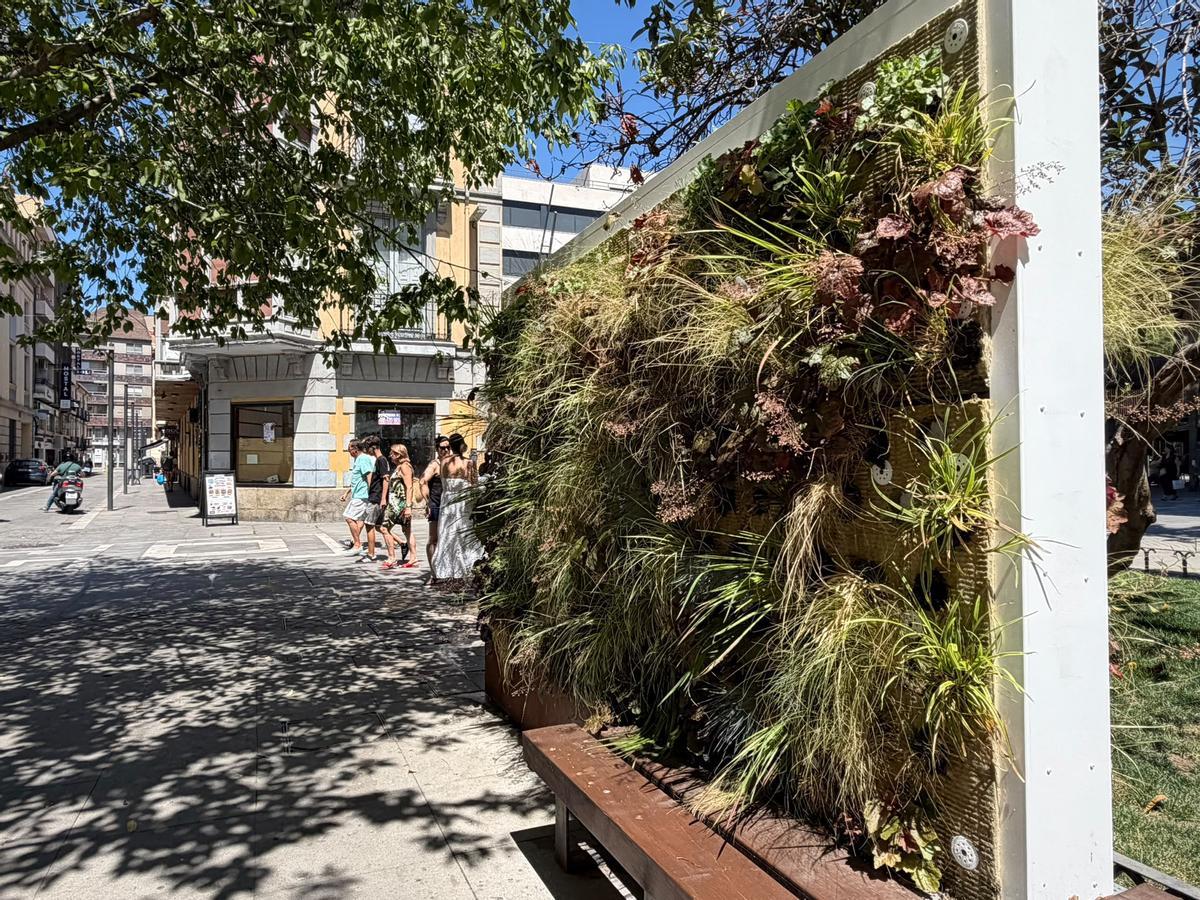 Uno de los jardines verticales.