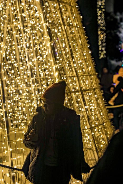 Palma "flipa" con el encendido de Navidad