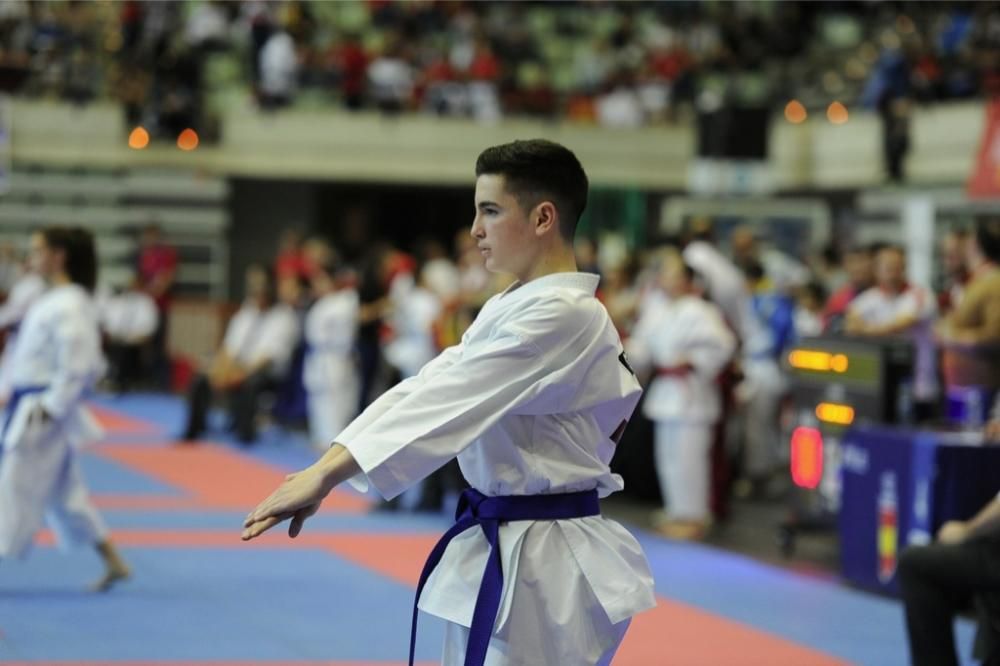 Campeonato de España de Karate en el Palacio de los Deportes