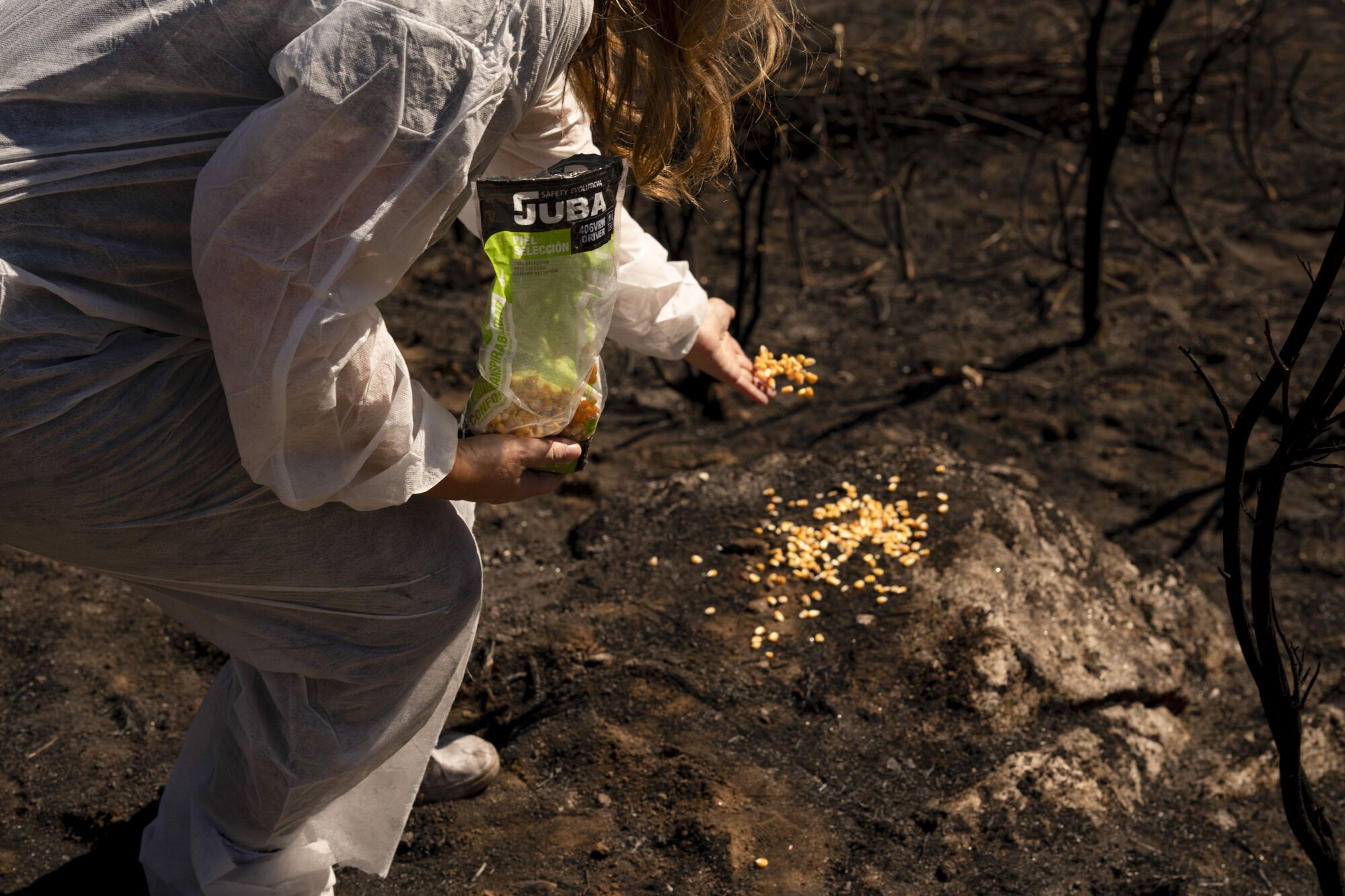 Voluntarios comienzan su trabajo en el entorno de Rego da Mourela en Manzaneda (Ourense) para construir estructuras que impidan que las lluvias arrastren el terreno calcinado por los incendios forestales que afectaron a Galicia en agosto. EFE / Brais Lorenzo