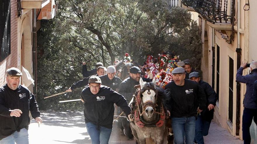 Albocàsser agita su Sant Antoni con las populares &#039;rossegades&#039;