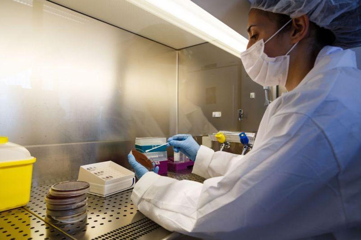 Una empresa aragonesa diseña un test para detectar el coronavirus