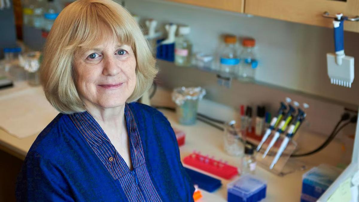 Mary-Claire King.