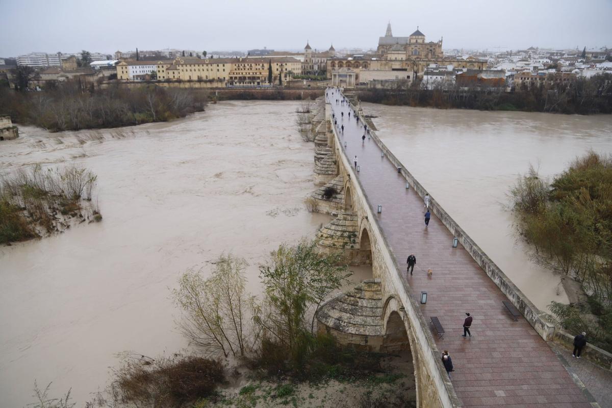 Estado del Guadalquivir este viernes a su paso por Córdoba.