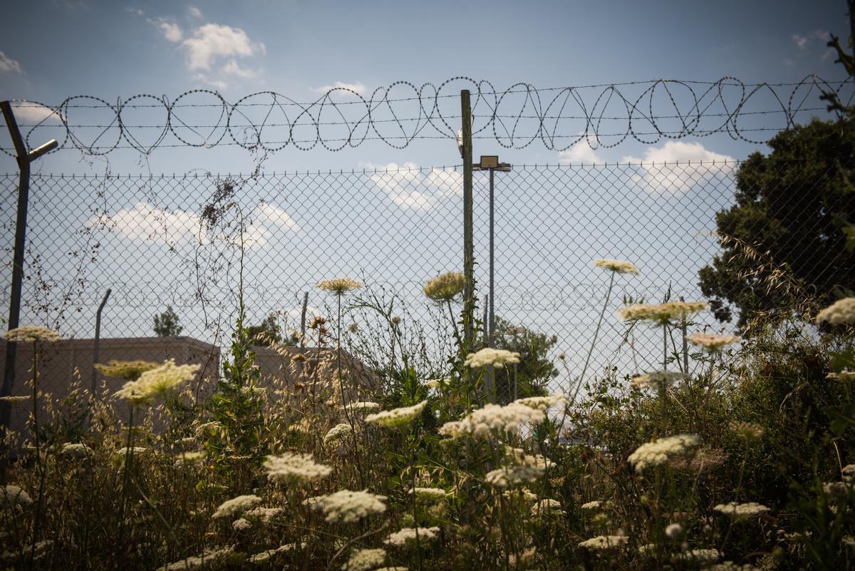 Campo de refugiados de Malakasa, en Grecia