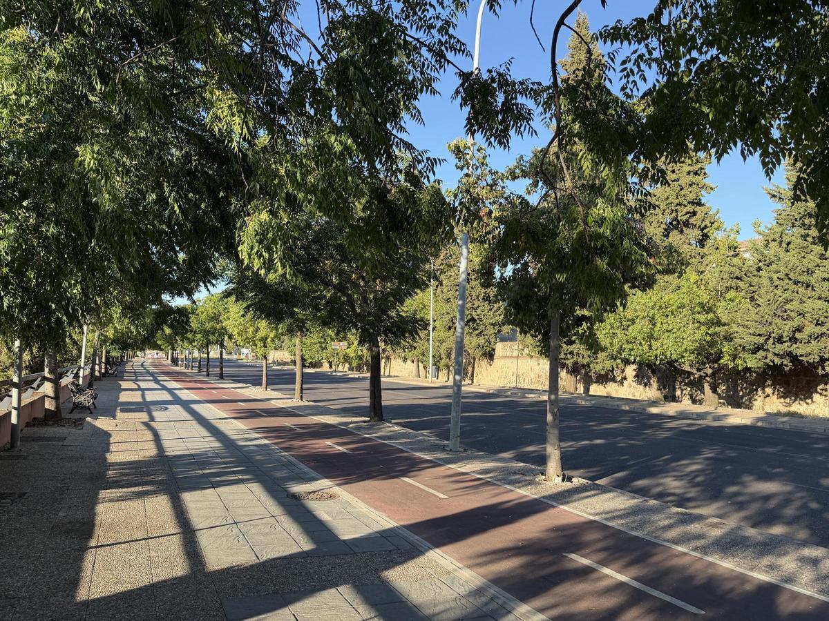 Arboles en la Circunvalación Reina Sofía de Badajoz.