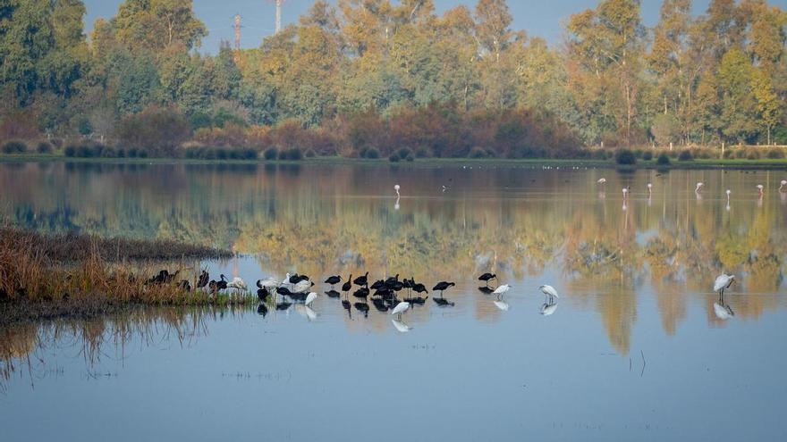 La protecció de la biodiversitat tensa la política europea