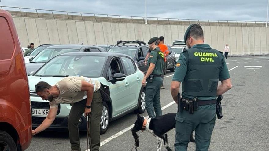 La Guardia Civil intensifica la vigilancia en el puerto de Agaete en los vehículos hacia Tenerife para evitar el desplazamiento de culebras reales y ardillas