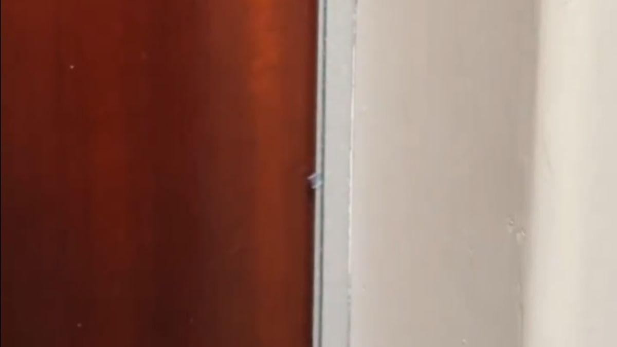 Plàstic instal·lat entre la porta i el marc per marcar la casa.