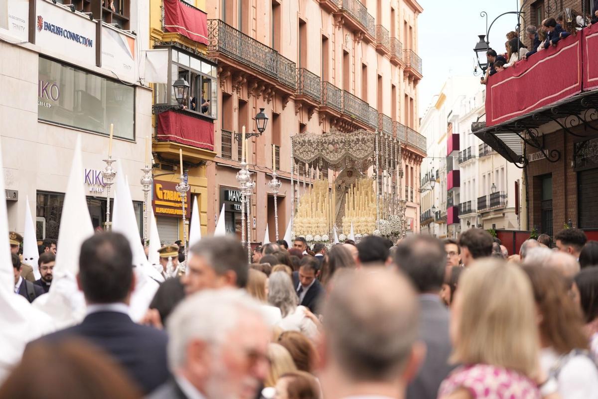 Imágenes de las hermandades del Domingo de Ramos de Sevilla pasando por La Campana.