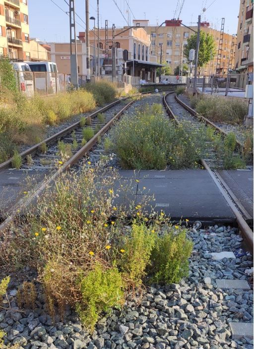 La naturaleza se 'come' las vías del metro en Torrent.