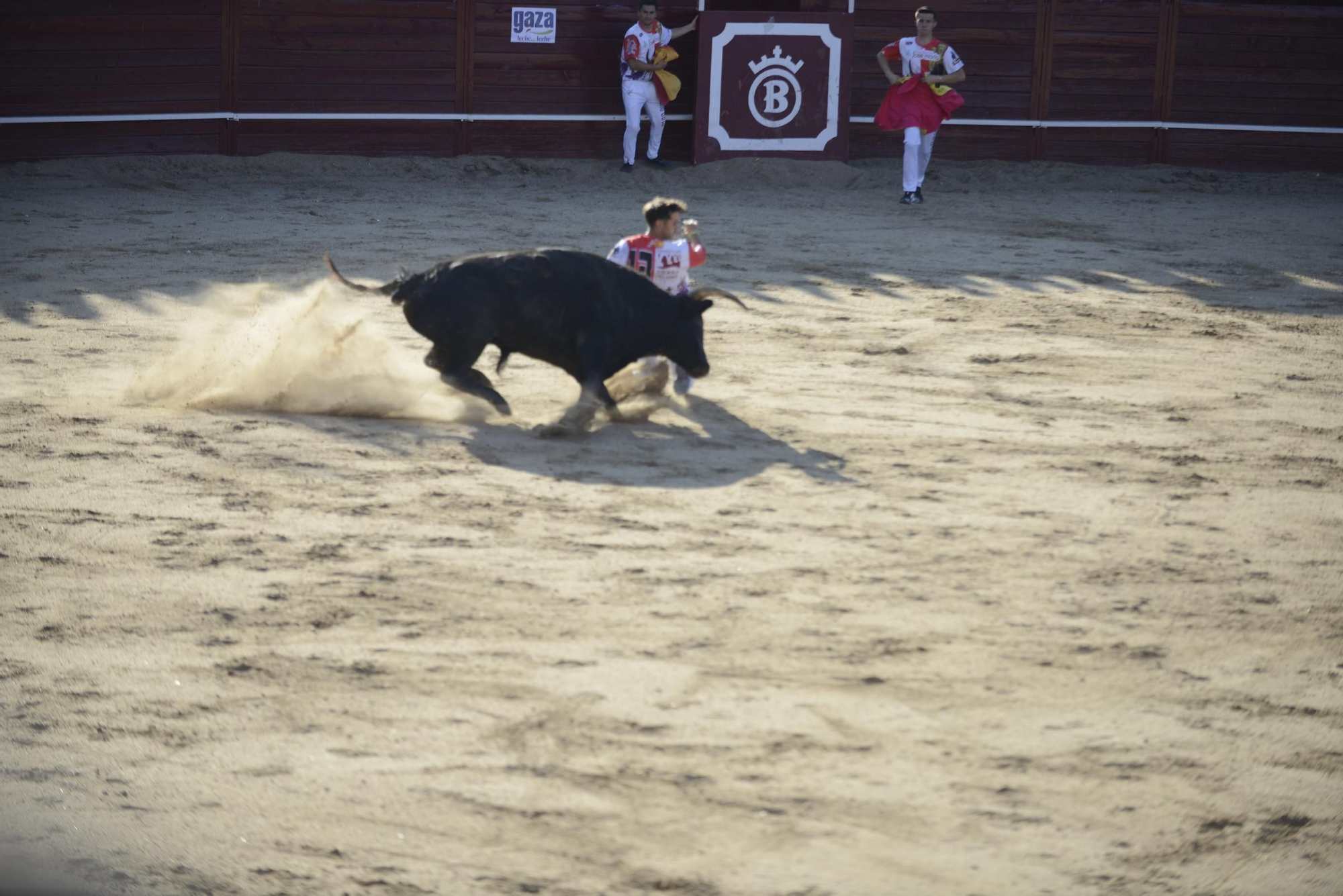 GALERÍA | Unos cuantos cortes de los arriesgados en Benavente