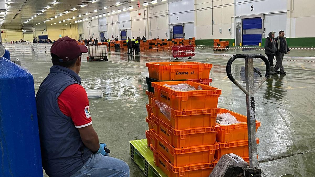 Trabajador de la lonja de Vigo, durante una jornada de subastas. / L. Graña
