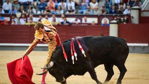 Román cuaja un extraordinario derechazo al gran ‘Comisario’ de Fuente Ymbro.