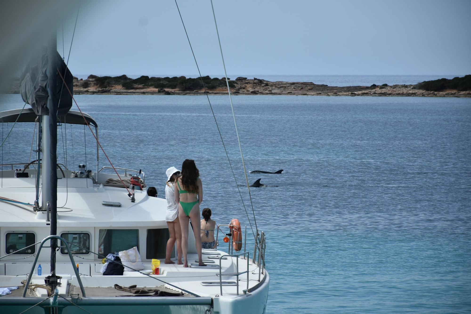 Delfines en  s'Espalmador