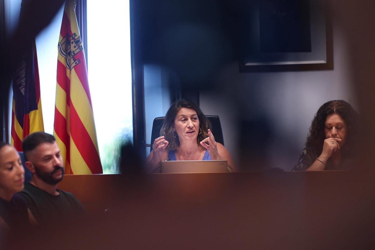 Galería: las imágenes del pleno del Ayuntamiento de Ibiza
