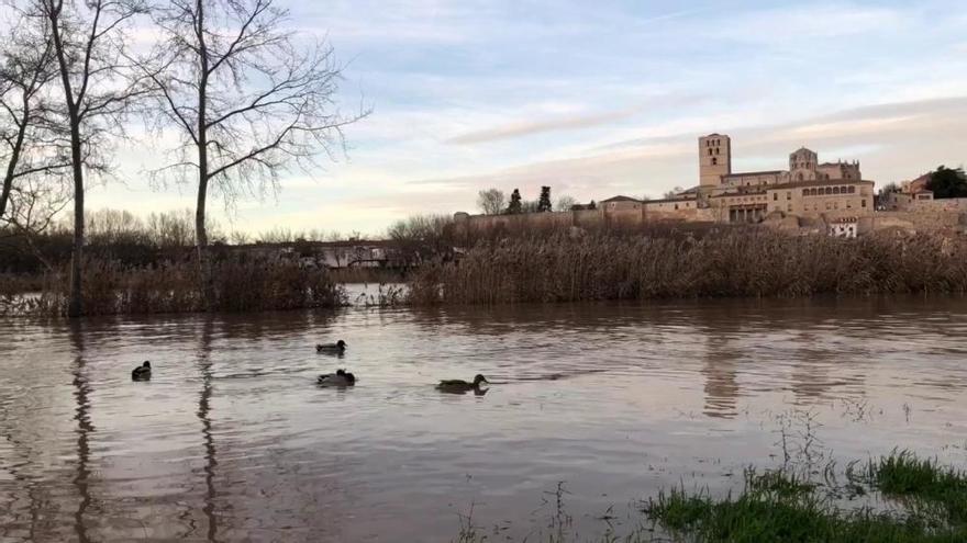 Zamora | Duero, el espectáculo crece